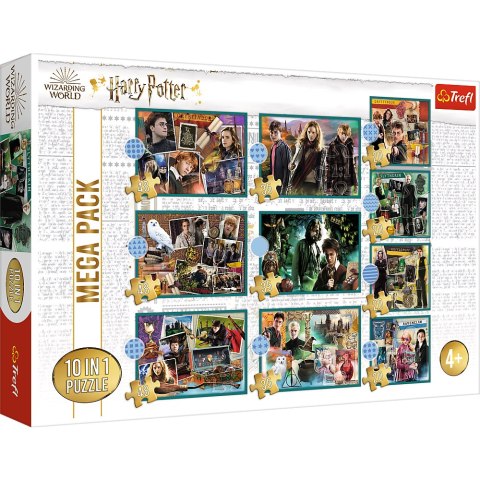 Puzzle 10w1 Harry Potter W świecie Harrego Pottera 90392