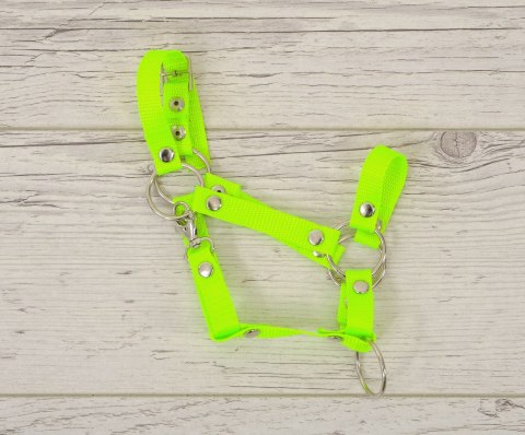 Kantar regulowany dla konia Hobby Horse A3 - neon green Kantar regulowany dla konia Hobby Horse A3 - neon green