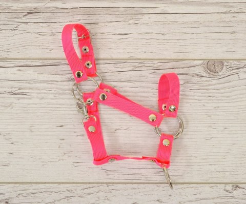 Kantar regulowany dla konia Hobby Horse A3 - neon pink Kantar regulowany dla konia Hobby Horse A3 - neon pink