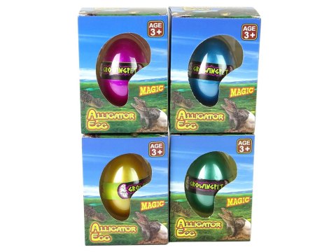 Rosnące Jajo Aligatora Krokodyla 6cm Rosnące Jajo Aligatora Krokodyla 6cm